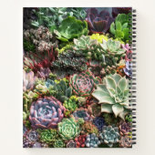 Carnet Beaux succulents (Dos)