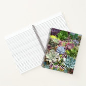 Carnet Beaux succulents (Intérieur)