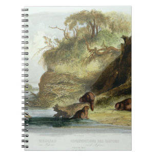 Carnet Beaver la hutte sur le Missouri, plaquez 17 du