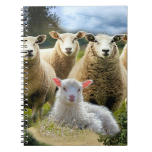 Carnet Bébé agneau mouton troupeau troupeau troupeau