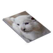 Carnet Bébé blanc de bébé de six semaines (Côté Droit)