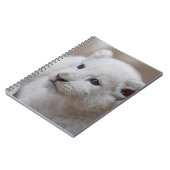 Carnet Bébé blanc de bébé de six semaines (Côté gauche)