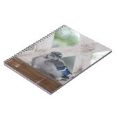 Carnet Bébé bleu Jay (Côté gauche)