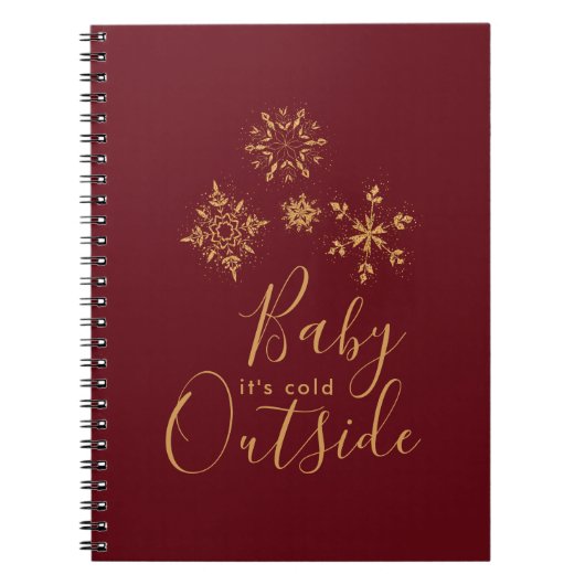 Carnet Bébé c'est froid dehors Golden Snowflakes (Devant)