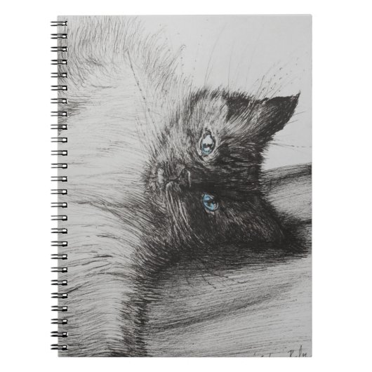 Carnet Bébé effronté (Devant)