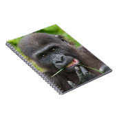 Carnet Bébé Gorilla Cuteness (Côté Droit)