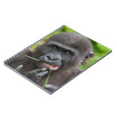 Carnet Bébé Gorilla Cuteness (Côté gauche)