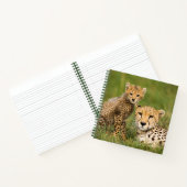 Carnet Bébé guépard et parent dans l'herbe (Intérieur)