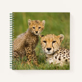 Carnet Bébé guépard et parent dans l'herbe (Devant)