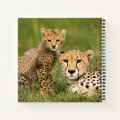 Carnet Bébé guépard et parent dans l'herbe (Dos)
