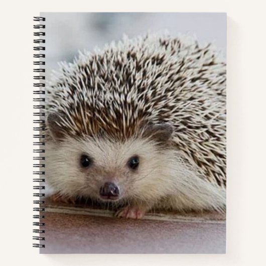 Carnet Bébé hérisson   (Devant)