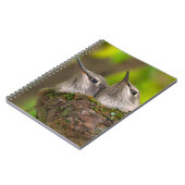 Carnet Bébé hummingbirds (Côté gauche)