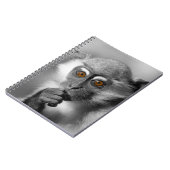 Carnet Bébé Mangabey (Côté gauche)
