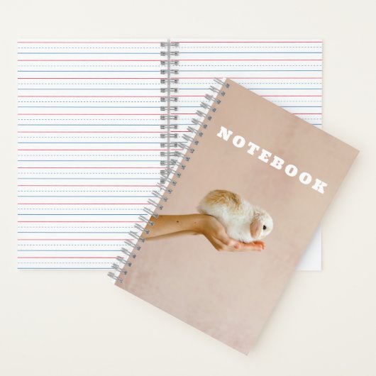 Carnet Bébé mignon lapin lapin (À l'intérieur)