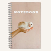 Carnet Bébé mignon lapin lapin (Recto)