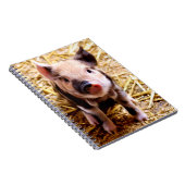 Carnet Bébé mignon porc (Côté Droit)