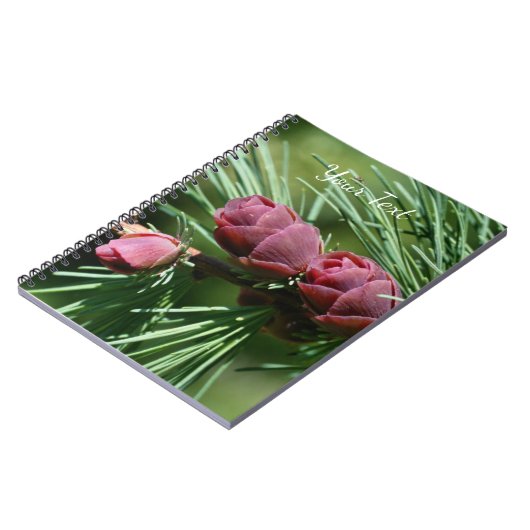 Carnet Bébé Miniature Pine Cônes Nature (Côté gauche)
