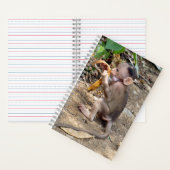 Carnet Bébé singe (À l'intérieur)