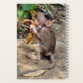 Carnet Bébé singe (Verso)