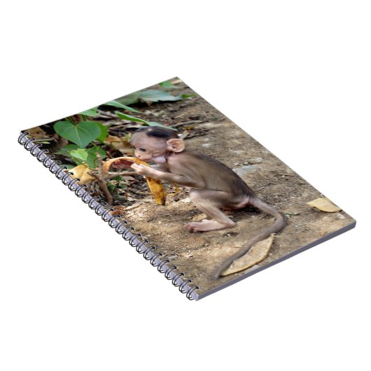 Carnet Bébé singe (Côté Droit)