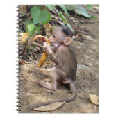 Carnet Bébé singe (Devant)