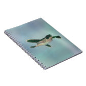 Carnet Bébé tortue de mer (Côté Droit)