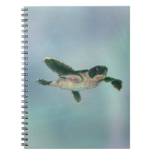 Carnet Bébé tortue de mer