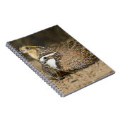 Carnet Bébés de caille nordique Bobwhite à l'étang pour b (Côté Droit)