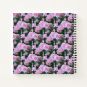Carnet Bébés roses..... (Dos)