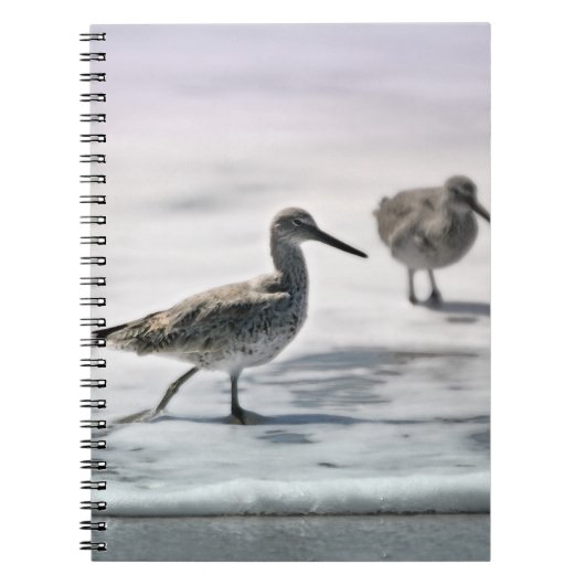 Carnet Bécasseaux (Devant)