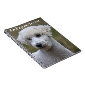 Carnet Bedlington Terrier (Côté Droit)