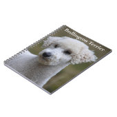 Carnet Bedlington Terrier (Côté gauche)