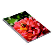 Carnet Bee and coral zinnia (Côté Droit)