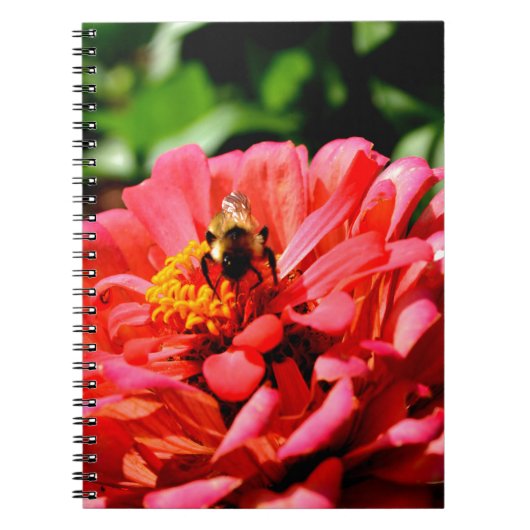 Carnet Bee and coral zinnia (Devant)