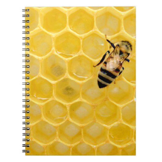 Carnet bee and honeycomb (Devant)