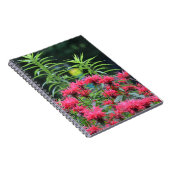 Carnet Bee Balm (Côté Droit)