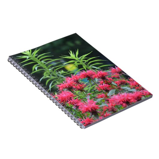 Carnet Bee Balm (Côté Droit)