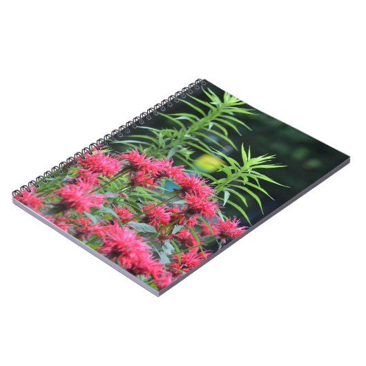 Carnet Bee Balm (Côté gauche)