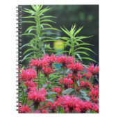 Carnet Bee Balm (Devant)