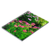 Carnet Bee Balm (Côté gauche)