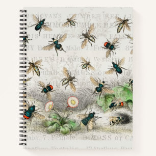 Carnet Bee Honey Travailleur Queen Bees Antique