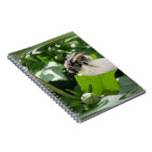 Carnet Bee in summer (Côté Droit)
