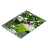 Carnet Bee in summer (Côté gauche)