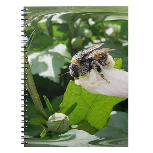 Carnet Bee in summer (Devant)