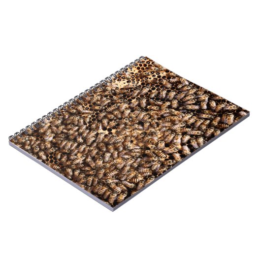 CARNET BEEHIVE (Côté gauche)