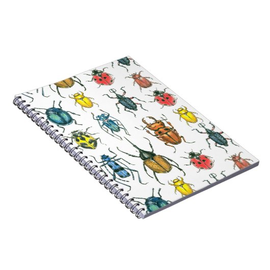 Carnet Beetles (Côté Droit)