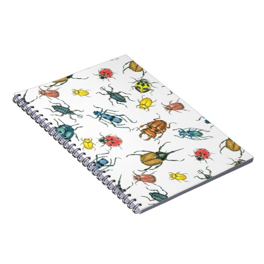 Carnet Beetles (Côté Droit)