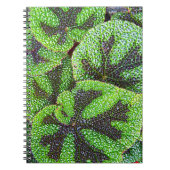 Carnet Begonia Croix de Fer Floral (Devant)