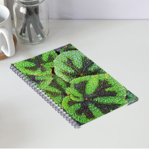 Carnet Begonia Croix de Fer Floral