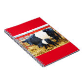 Carnet Belle aquarelle de vache et de veau à ceinture (Côté Droit)